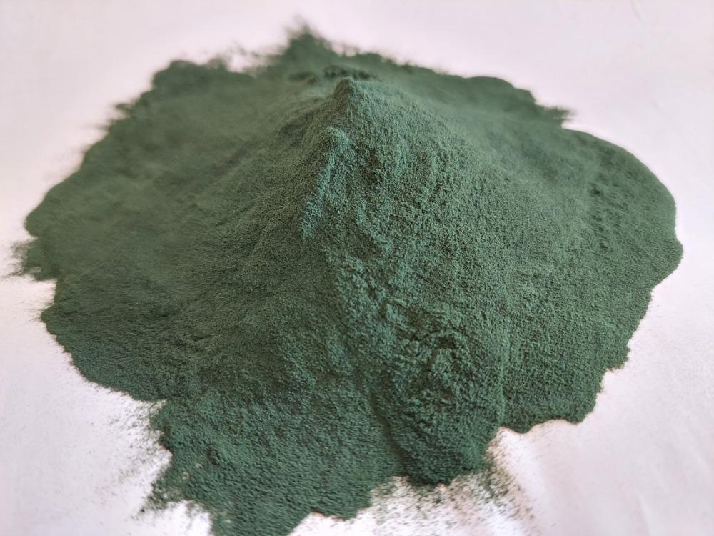 Řasa Chlorella